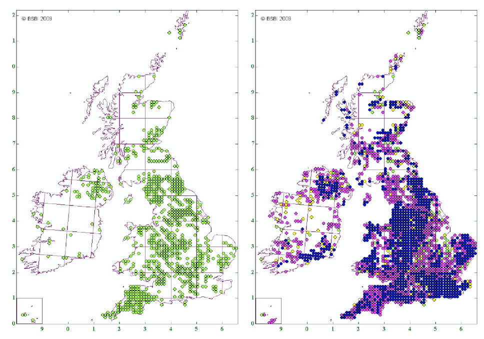 Map of UK showing distribution of Himalayan Balsam in 1970 and 2000